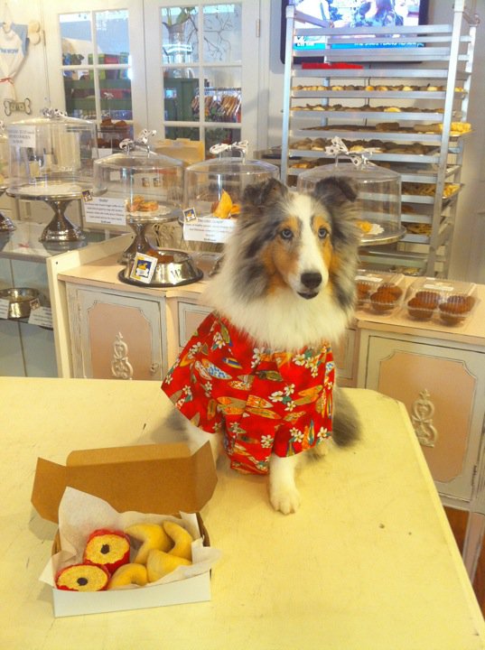 Selena with chinese new year treats