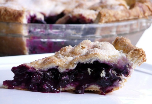 blueberry pie august 12th, 2009 2 (2)500