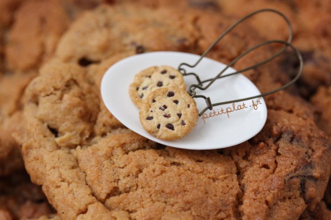 bo_cookiessurcookie (2)