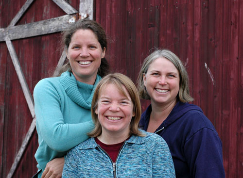 bossysfeltworks_1 (2)