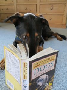 BEST Eli reading 1-27-13 (5)