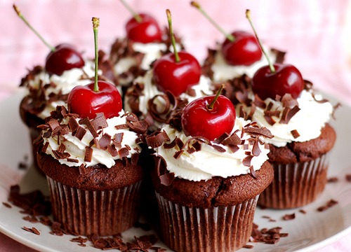 black forest cupcake