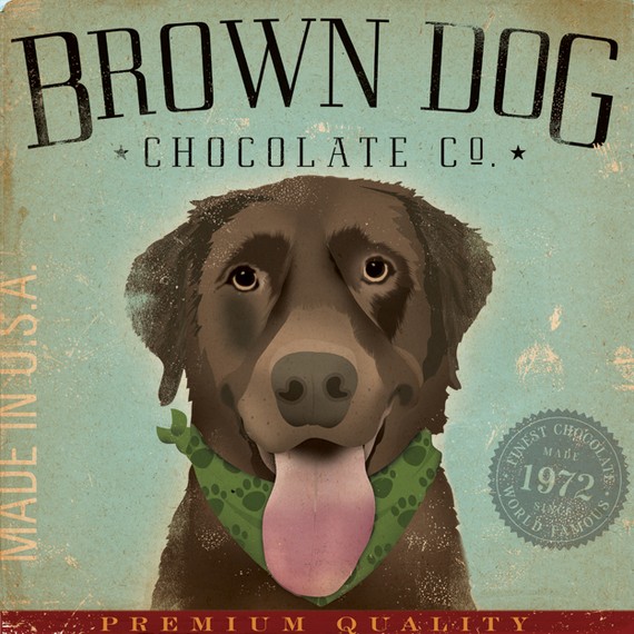 chocolate dog