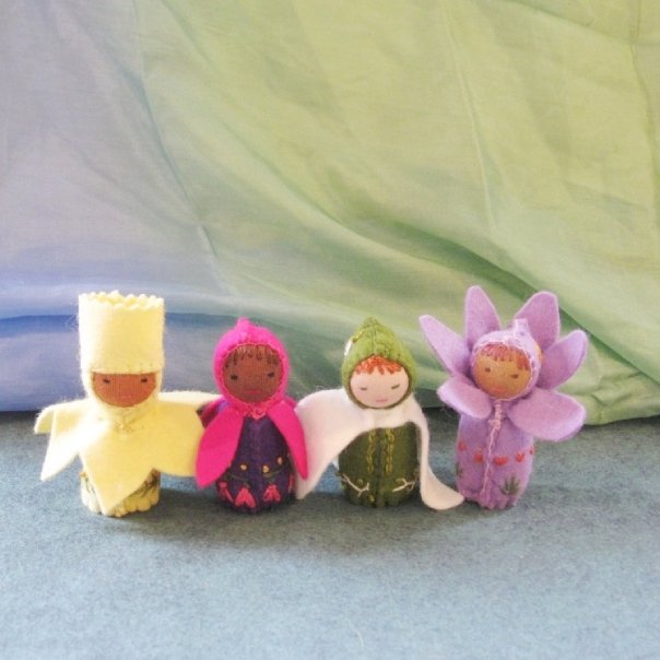 daffodil, fuschia, snowdrop, crocus