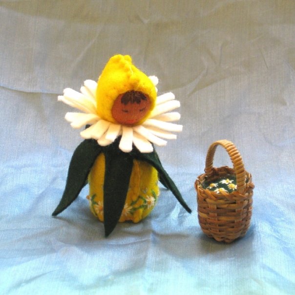 daisy with basket