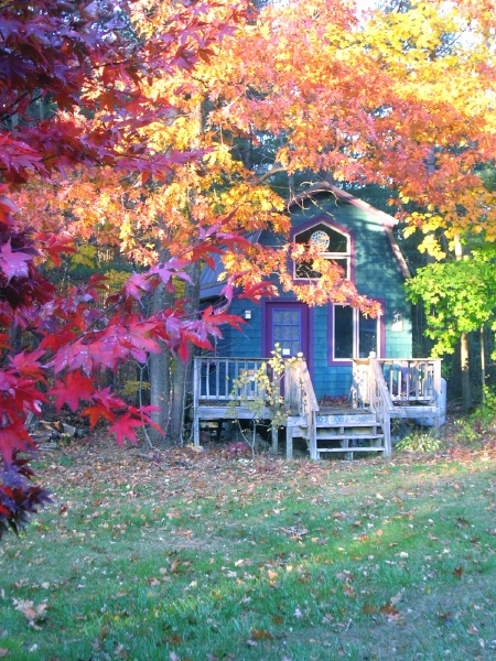 studio in fall (3)450