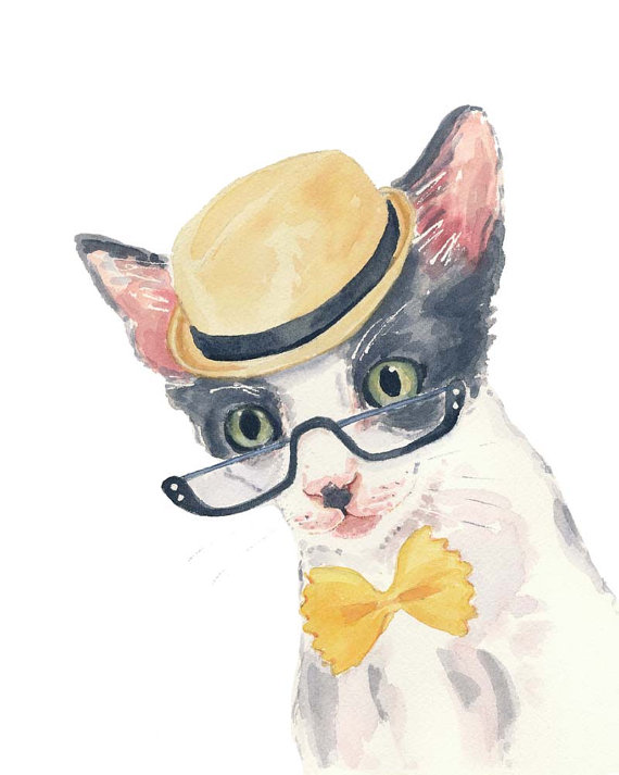 catglasses