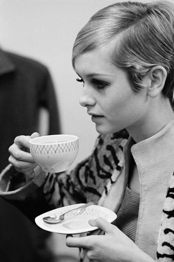 twiggy