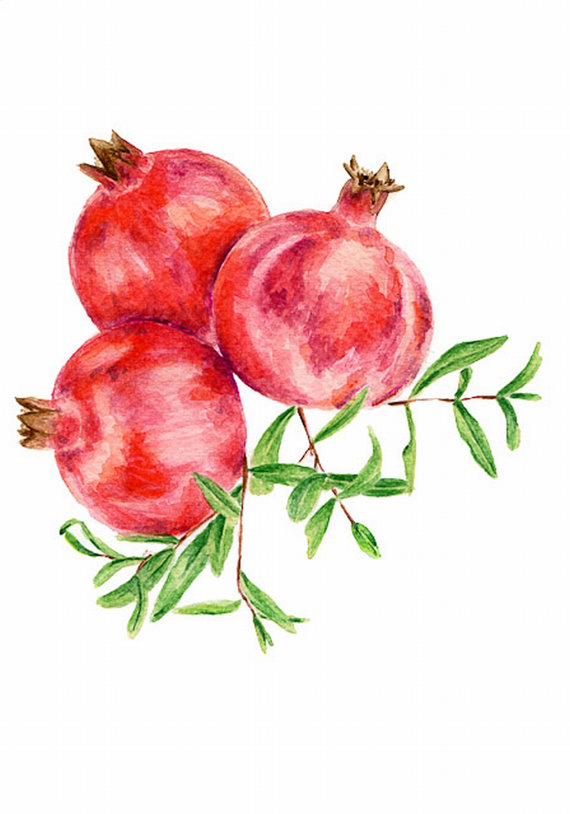 pomegranate