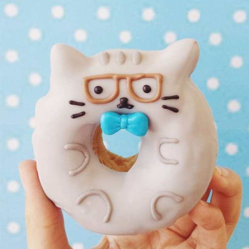 coolcatdonut